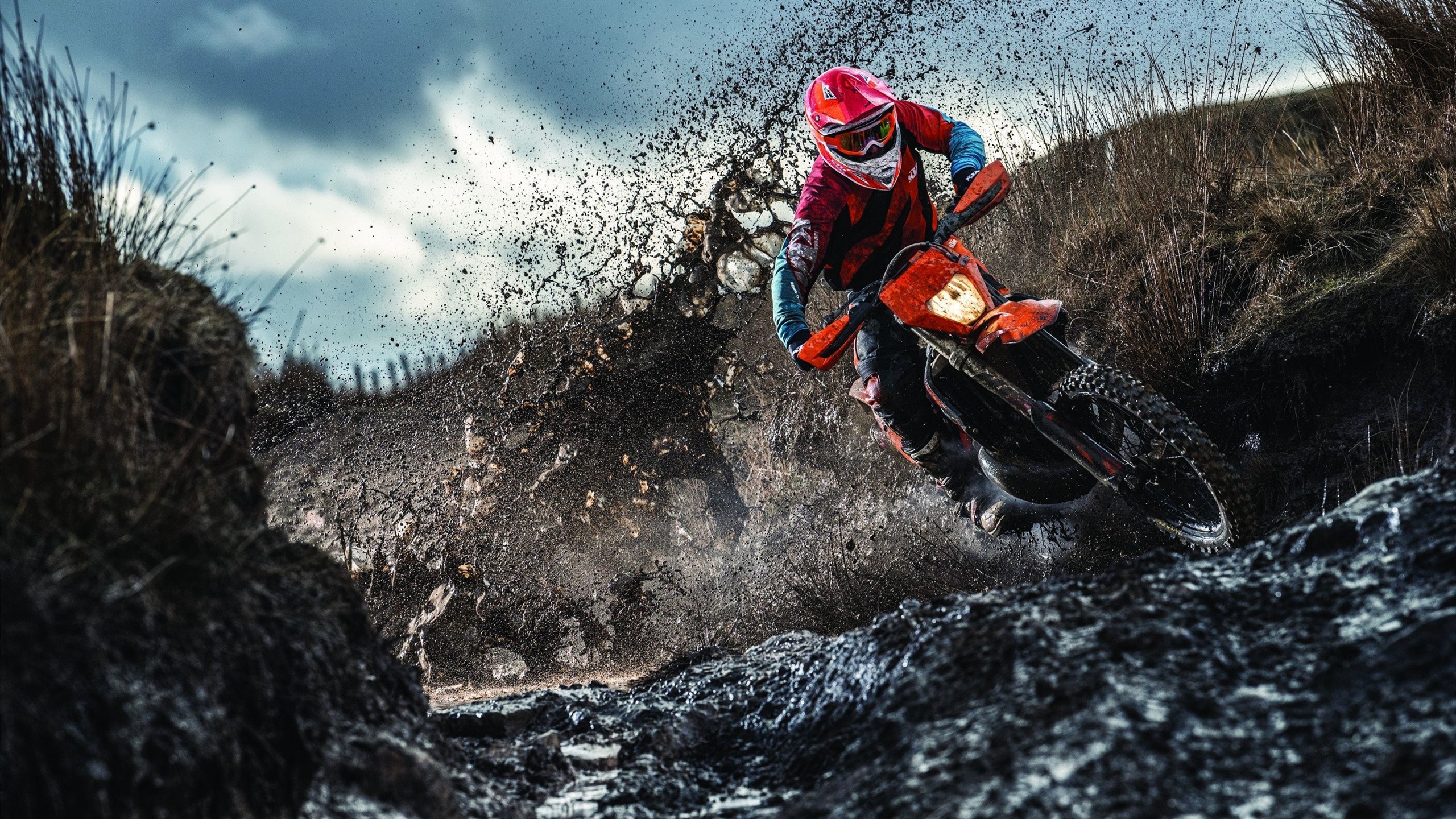 篮球专项技能动作控制机制及训练方法，篮球动作技术